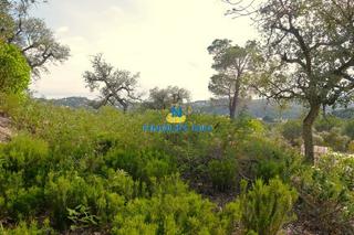 Residential Plot in Carrer bedoll 38