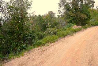 Rural plot in Carrer mar roig 72