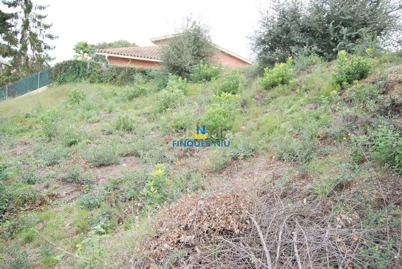 Foto 113c1ee0-5f24-41d1-a16f-34e032ba299c. Terreno residenziale in carrer juli cèsar 197 in Montbarbat Maçanet de la Selva