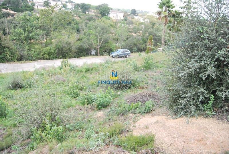 Foto 4608b7d7-6301-4b7c-9a8b-007eb98a7f53. Terreno residenziale in carrer juli cèsar 197 in Montbarbat Maçanet de la Selva