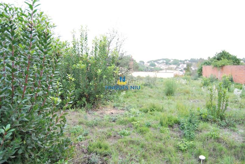 Foto 67cf2f09-39f2-41bc-9706-bb9d6e9f31ae. Terreno residenziale in carrer juli cèsar 197 in Montbarbat Maçanet de la Selva