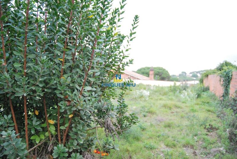 Foto a93b68e8-7cfb-4a2b-88be-b124c14ff1e3. Terreno residenziale in carrer juli cèsar 197 in Montbarbat Maçanet de la Selva