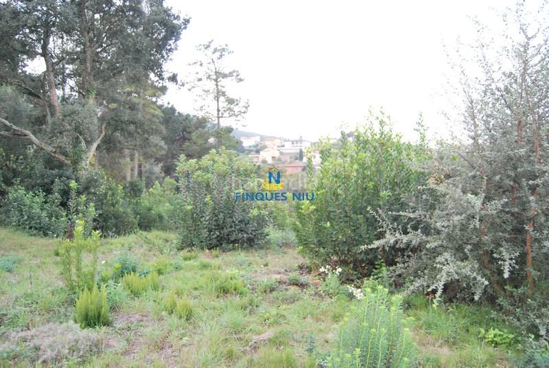 Foto d6c616a6-147c-45cf-add9-9358141767dd. Terreno residenziale in carrer juli cèsar 197 in Montbarbat Maçanet de la Selva