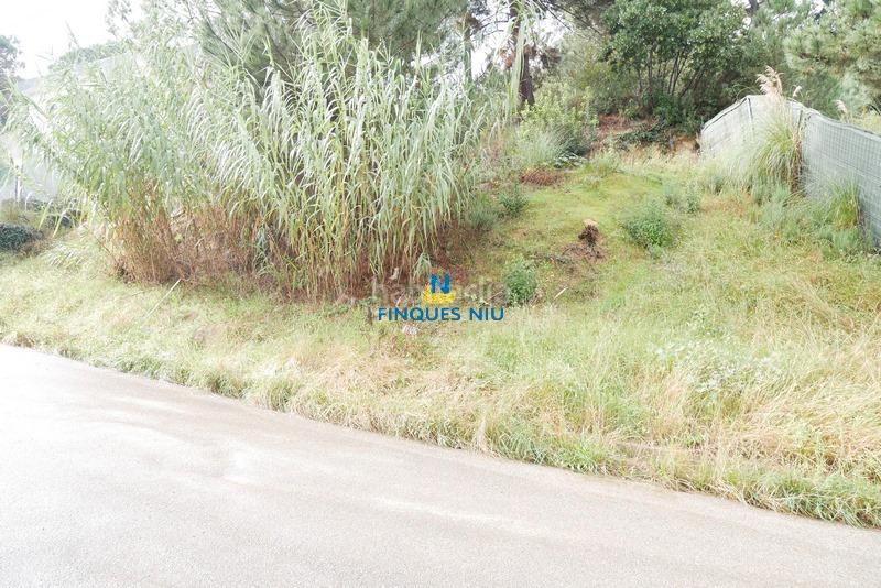 Foto 44c021a5-39ff-4f59-8a92-e85dbeac62cd. Terreno residenziale in carrer santa elena 584 in Maçanet de la Selva