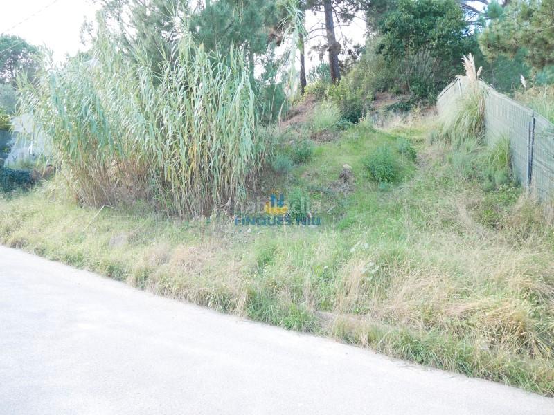 Foto 44efc7e6-1d91-40c9-a485-b84799ca1f05. Terreno residenziale in carrer santa elena 584 in Maçanet de la Selva