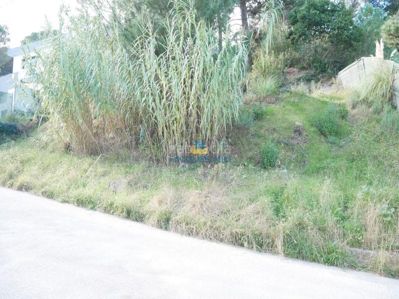 Foto a6aa311d-6924-4cf4-b7af-d57662798626. Terreno residenziale in carrer santa elena 584 in Maçanet de la Selva