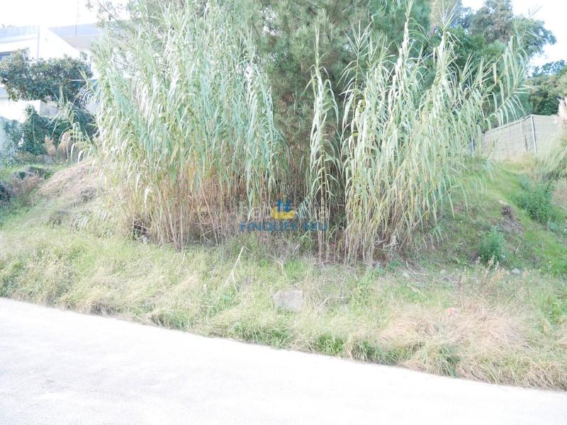Foto c52047c2-e72c-4197-bb4e-1b39d2c27e8e. Terreno residenziale in carrer santa elena 584 in Maçanet de la Selva