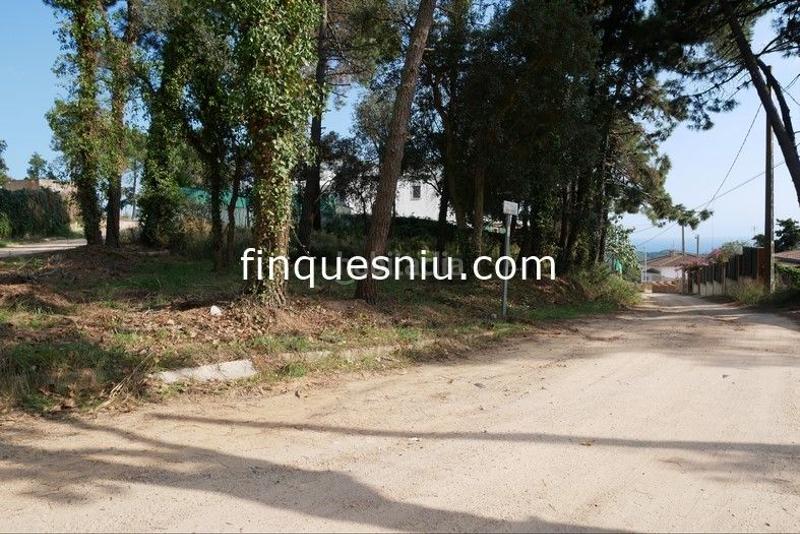 Foto 1f404552-04aa-491c-a89c-0668db16aaf6. Residential plot in Lloret Residencial - Montlloret Lloret de Mar