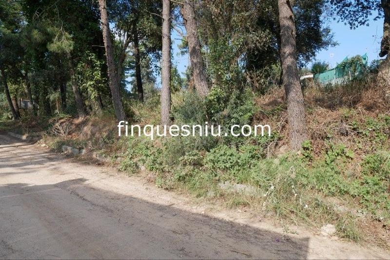 Foto 47ffdeee-69f5-43db-babe-66e2d74340e7. Residential plot in Lloret Residencial - Montlloret Lloret de Mar