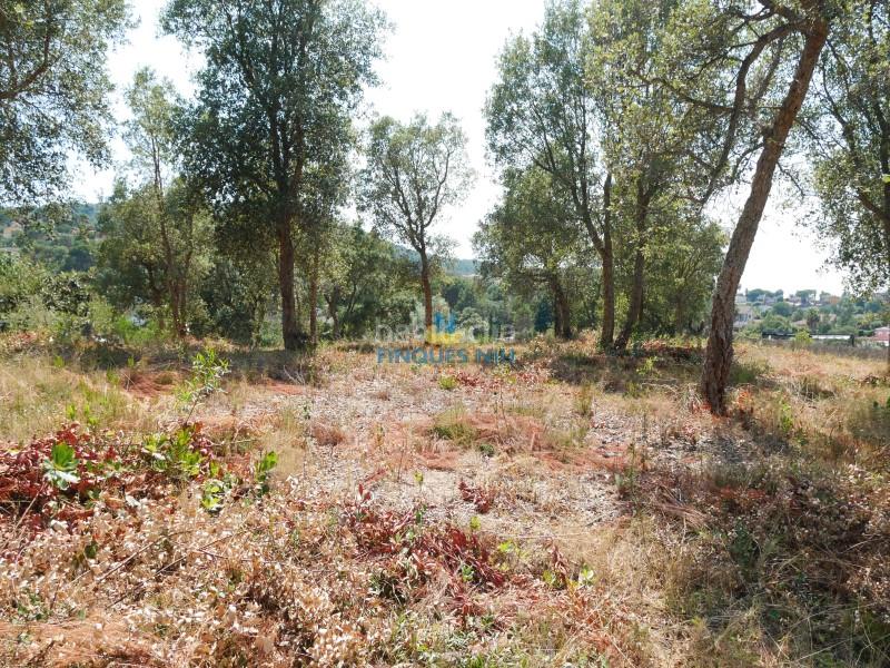 Foto 52a8e8eb-6b48-4f2e-85e3-75a62a152a62. Terreno residenziale in Montbarbat Maçanet de la Selva