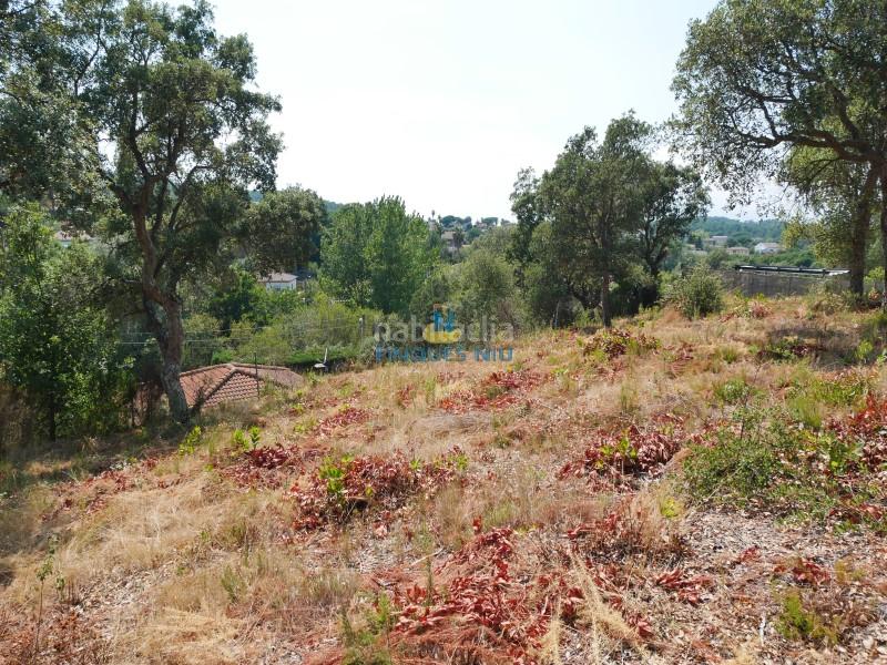 Foto 90197c99-42f4-407d-9e76-5b282485e714. Terreno residenziale in Montbarbat Maçanet de la Selva