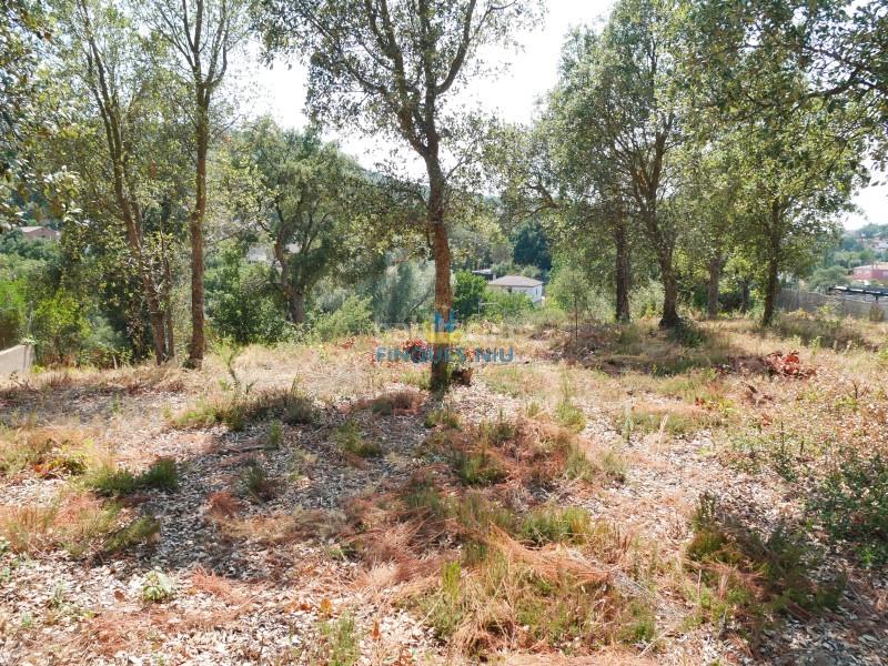 Foto 9612aa56-ac12-4f36-8fd6-b69b142fbb0f. Terreno residenziale in Montbarbat Maçanet de la Selva