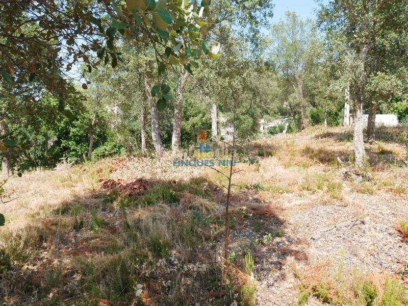 Foto d46878b4-0cf0-4b1c-96b4-ad2d6f3fef1e. Terreno residenziale in Montbarbat Maçanet de la Selva