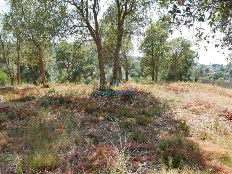 Foto f3de0d22-e986-4eef-a575-c61654fdcd23. Terreno residenziale in Montbarbat Maçanet de la Selva