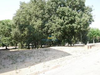 Terreny residencial  Carrer tramontana. Terreno en venta en mas flassia, vidreres