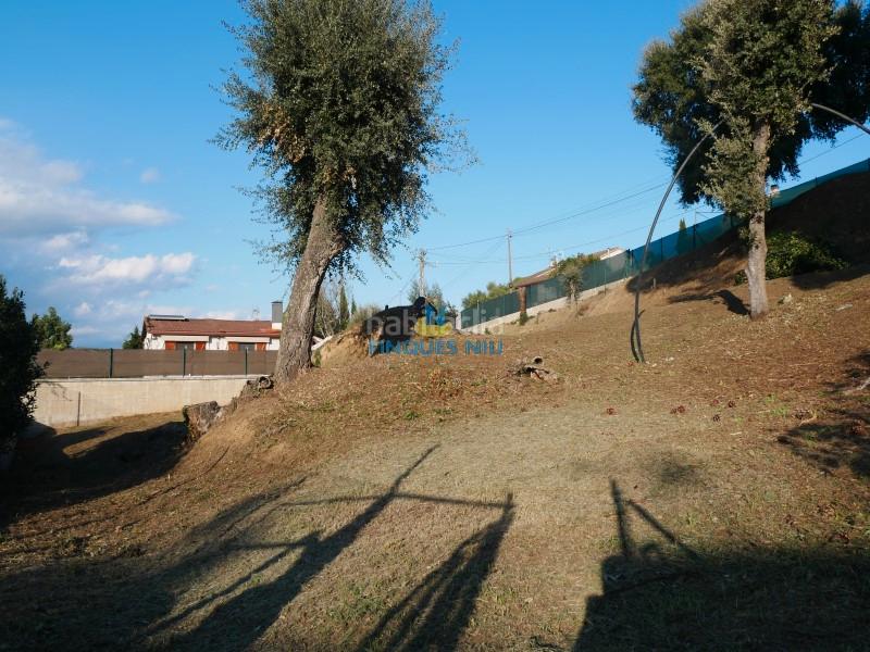 Foto 0e040f45-13d9-4b60-8c76-f255c4f16e02. Residential plot in Montbarbat Maçanet de la Selva