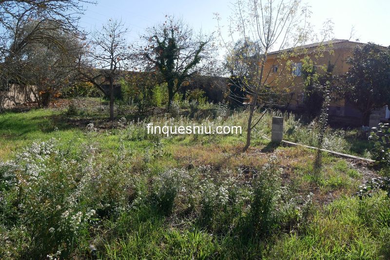 Foto f03c9fda-1d1e-45a4-bf8c-197dde72f6a1. Terreny residencial a Sils