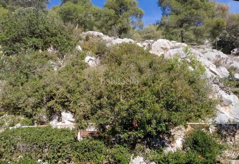 Foto 9f6c03e8-8bf6-4c49-aefb-ead11472a749. Maison dans l´Estartit poble Estartit