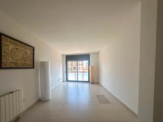 Pis a Carrer almogvers 2. Oportunidad en olot del ao 2008