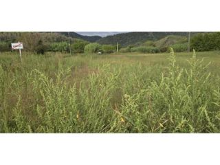 Finca rústica a Anglès. Dos terrenos de venta en el municipio de angles