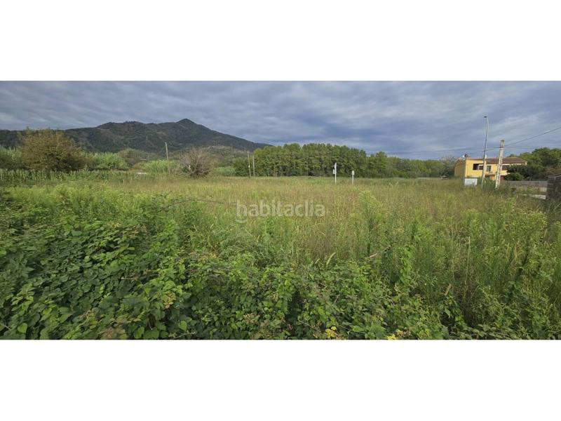 Foto b4cc0043-5bac-4e5b-8423-7da651ed0c0b. Fondo rustico in Anglès