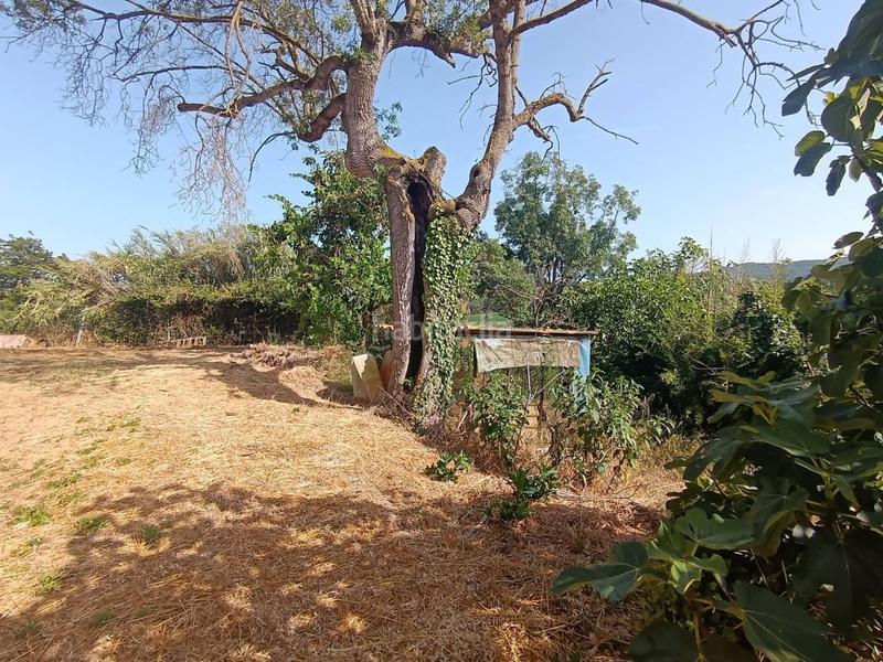 Foto 7241e115-1a23-4861-80a5-f32b4ccb97ee. Casa masia en venta con terreno en Tordera Tordera