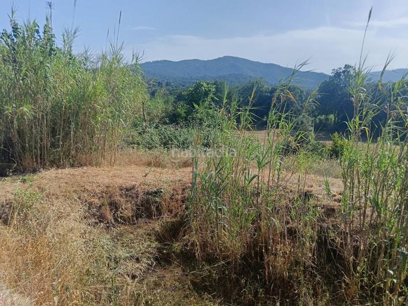 Foto 7cc1d1e6-1eb6-4e28-a7d5-17ee5e891b86. Casa masia en venta con terreno en Tordera Tordera