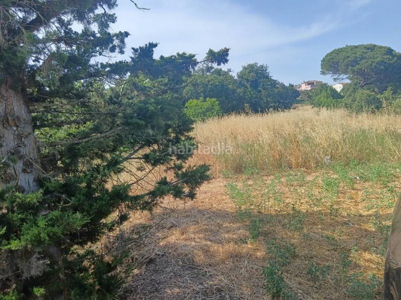 Foto cb5dc4ef-895d-4fd8-808c-89b47d7b44bd. Casa masia en venta con terreno en Tordera Tordera