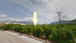 Finca rústica  Partida murtella. Oportunidad directa propietario! terreno con muchas posibilidade