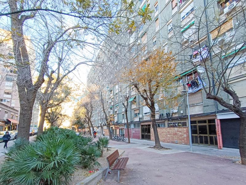 Foto 8c5bc1e9-1df4-4515-9363-6bb3efc186d4. Piano terra in Besòs - Maresme Barcelona