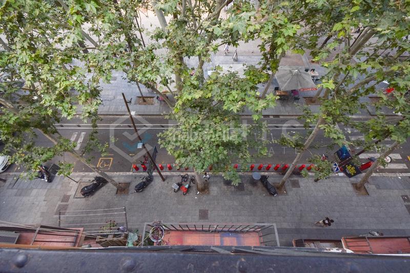 Foto 168326a1-ccf8-472f-87f0-893ed74bbe7b. Ático  con gran terraza privada en Raval Barcelona