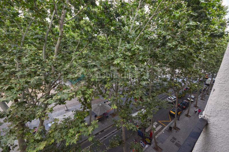 Foto a03da7ab-0bb9-4b8e-9296-1e9eb5777696. Ático  con gran terraza privada en Raval Barcelona