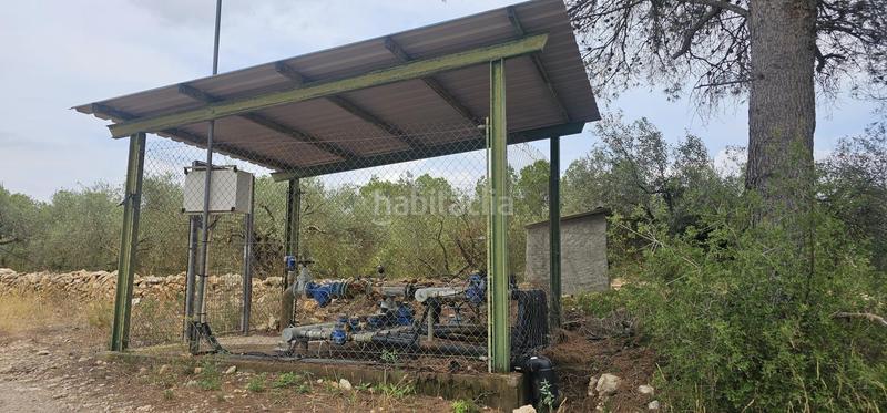 Foto 0a4a3386-72ad-4e47-a18b-c24fee8c3ee4. Propriété dans Móra d´Ebre