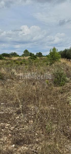 Foto 0df2bcee-c2b8-4e7c-bd41-48b1efc7b387. Propriété dans Móra d´Ebre