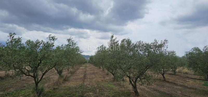 Foto 0e551821-84fd-4ce8-b089-e5a38922d609. Propriété dans Móra d´Ebre