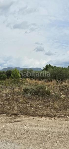 Foto 139cac47-4c9b-491a-833c-34d304b72150. Propriété dans Móra d´Ebre