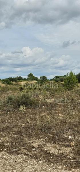 Foto 171fd074-ad49-405a-b46e-6e199db383a1. Propriété dans Móra d´Ebre
