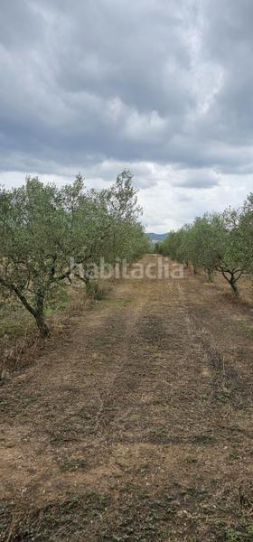 Foto 1d0d30b2-ed05-4e45-b8b1-1c4795bbbdb7. Propriété dans Móra d´Ebre