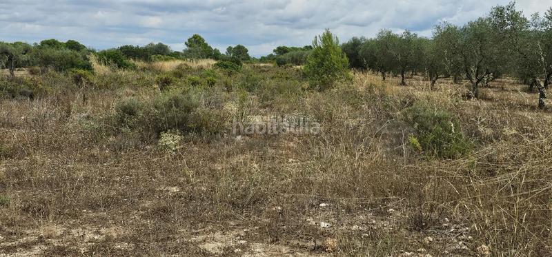Foto 2e10b3b1-e8a6-41e0-8f01-92d6f8e13277. Propriété dans Móra d´Ebre