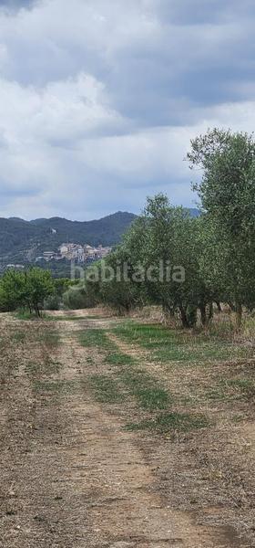Foto 3fc1f94b-c9bb-4368-8e33-d737201421f4. Propriété dans Móra d´Ebre