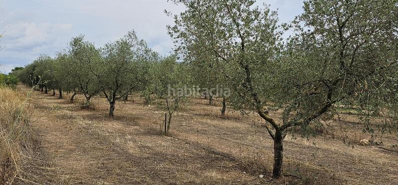 Foto 5cc8bc5b-0779-4509-b15f-70e824e42bab. Propriété dans Móra d´Ebre