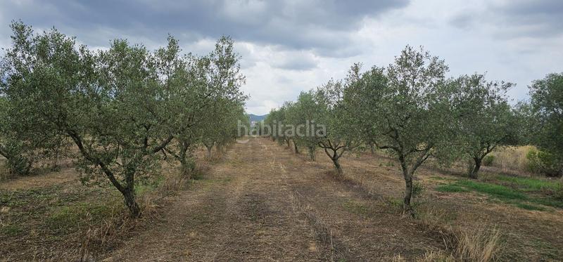 Foto 703062da-6d40-4ce2-86f0-d1e092ddd15b. Propriété dans Móra d´Ebre