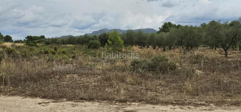 Foto a92722b8-0cf3-48b7-88b4-6e99552aa269. Propriété dans Móra d´Ebre