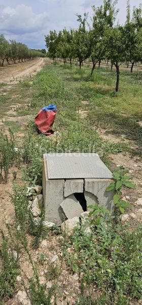 Foto b93b7554-c794-4ab8-b9c6-c36a30ee7dba. Propriété dans Móra d´Ebre