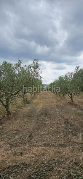 Foto d228b798-bf22-41f1-8995-2f43572061df. Propriété dans Móra d´Ebre