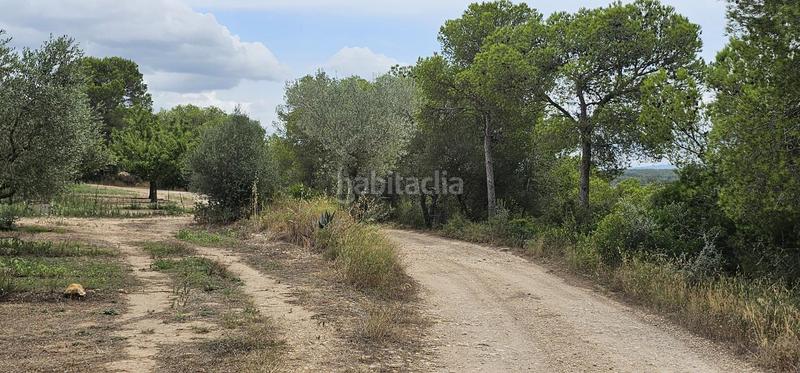 Foto dbcfcf2c-9820-4767-94b4-e74e15003781. Propriété dans Móra d´Ebre