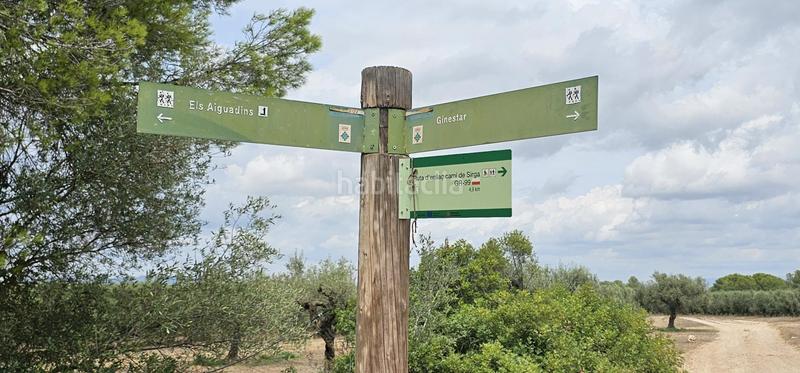 Foto f9c3bf56-a5c8-429d-8707-7438161390c0. Propriété dans Móra d´Ebre