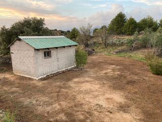 Rural plot in Aleixar (L´). Finca rúst. venta aleixar (l`)
