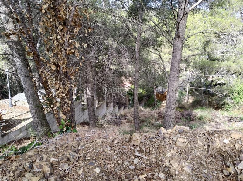 Foto 8dd9b955-8c49-4884-865b-c511d07f724e. Terreno residenziale in Almoster