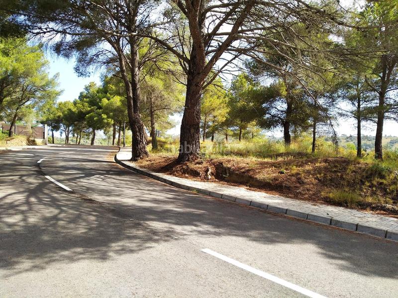 Foto 9108430f-a7cb-49fa-89b4-8e630b9ddda0. Terreno residenziale in Almoster